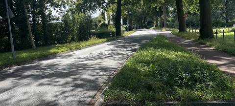 Grintweg