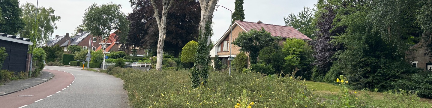 Diedenweg