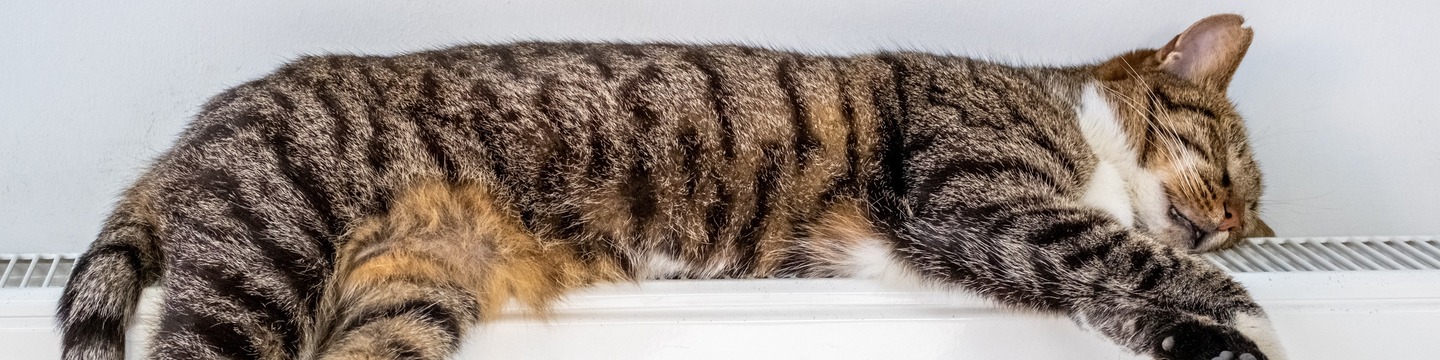 Afbeelding van een slimme thermostaat